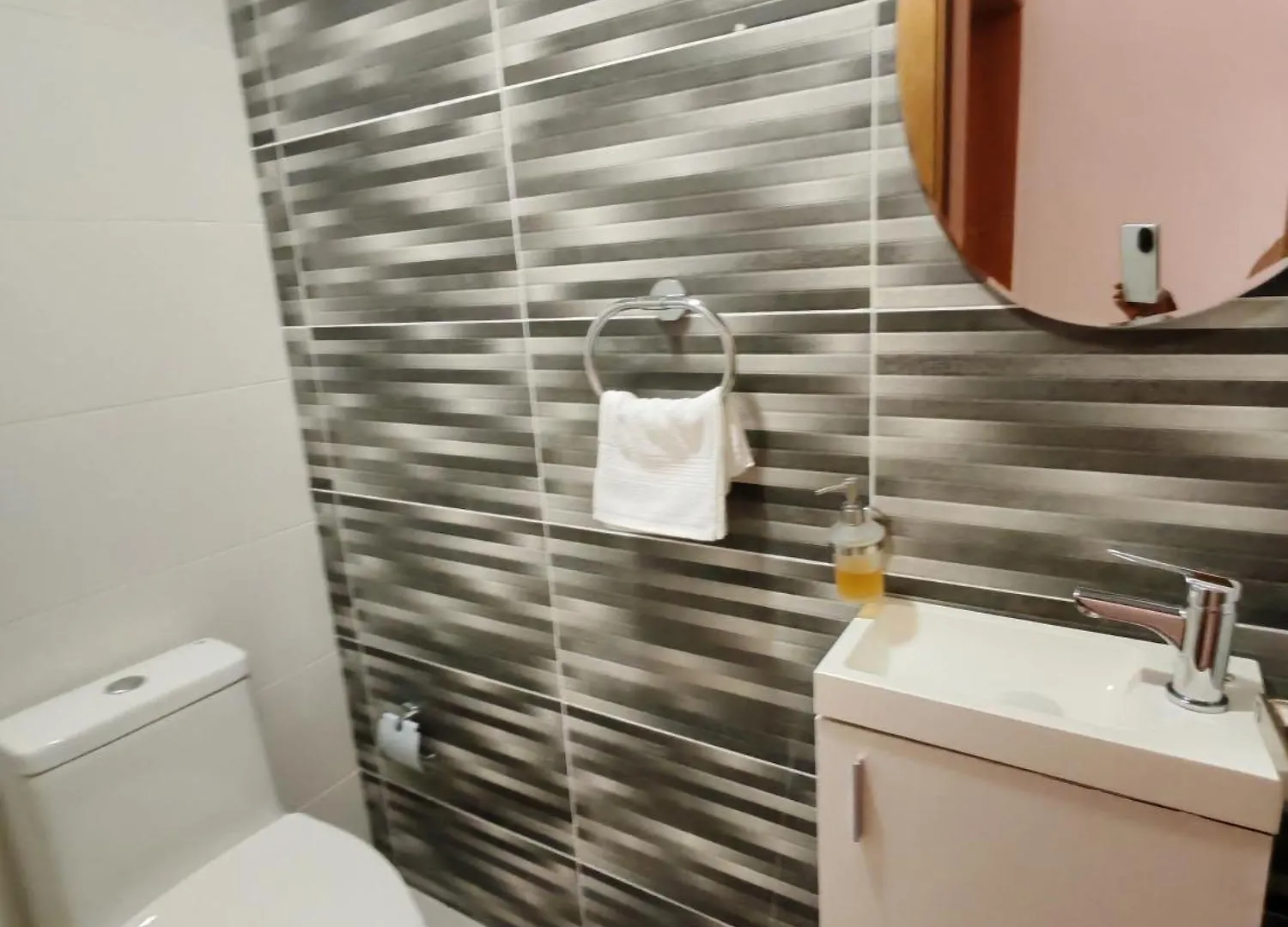 公寓 Style And Confort Apart Villa Palmera 聖多明哥
